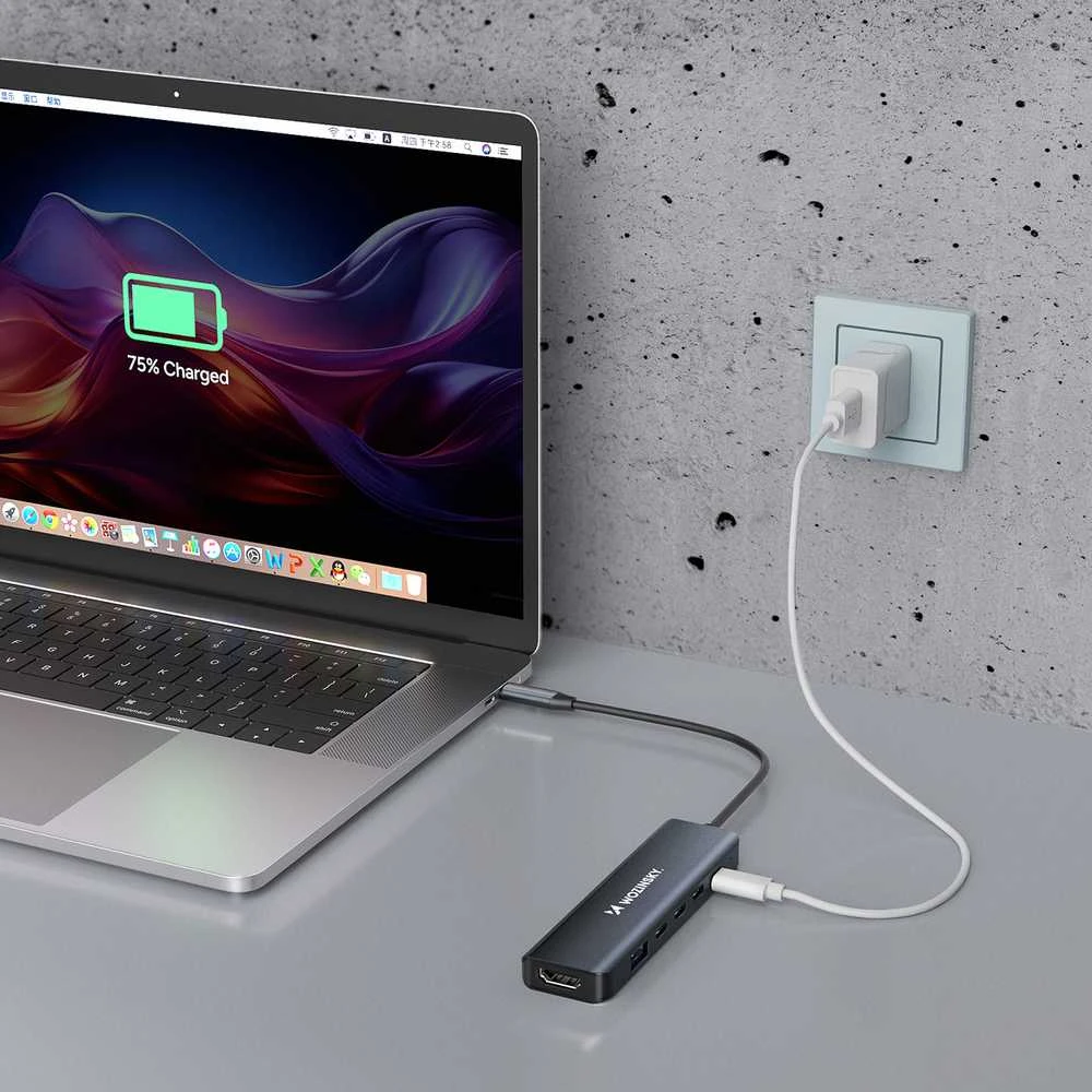 USB-C 6 viename šakotuvas Wozinsky WHBC10Y4S daugiafunkcis, aliuminio, su 25 cm laidu · pilkas