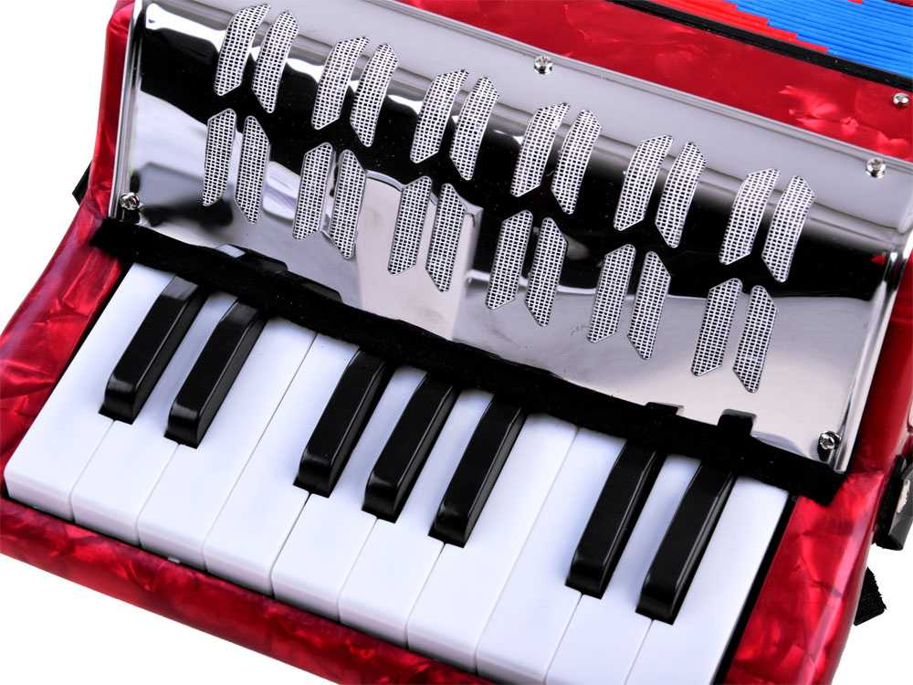 Jokomisiada Vaikiška didelė muzikinė akordeono harmonija IN0148