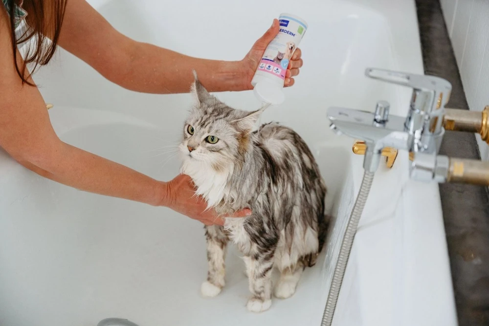 VIRBAC Allerderm Normal - Šampūnas šunims ir katėms - 250 ml