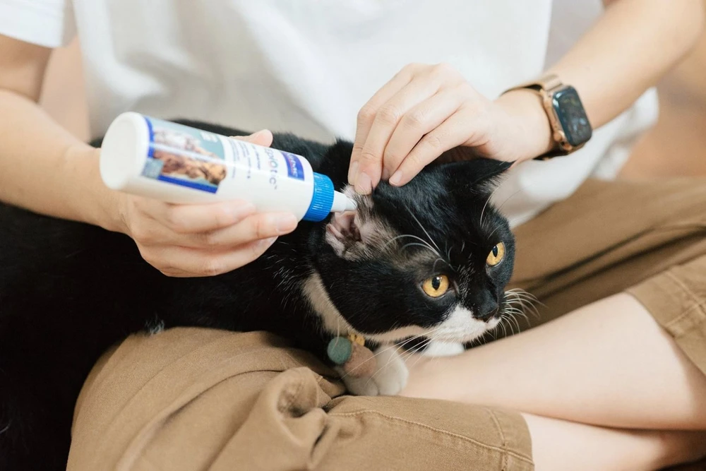 VIRBAC EpiOtic Ear Valiklis - ear care liquid for dogs and cats - 125ml