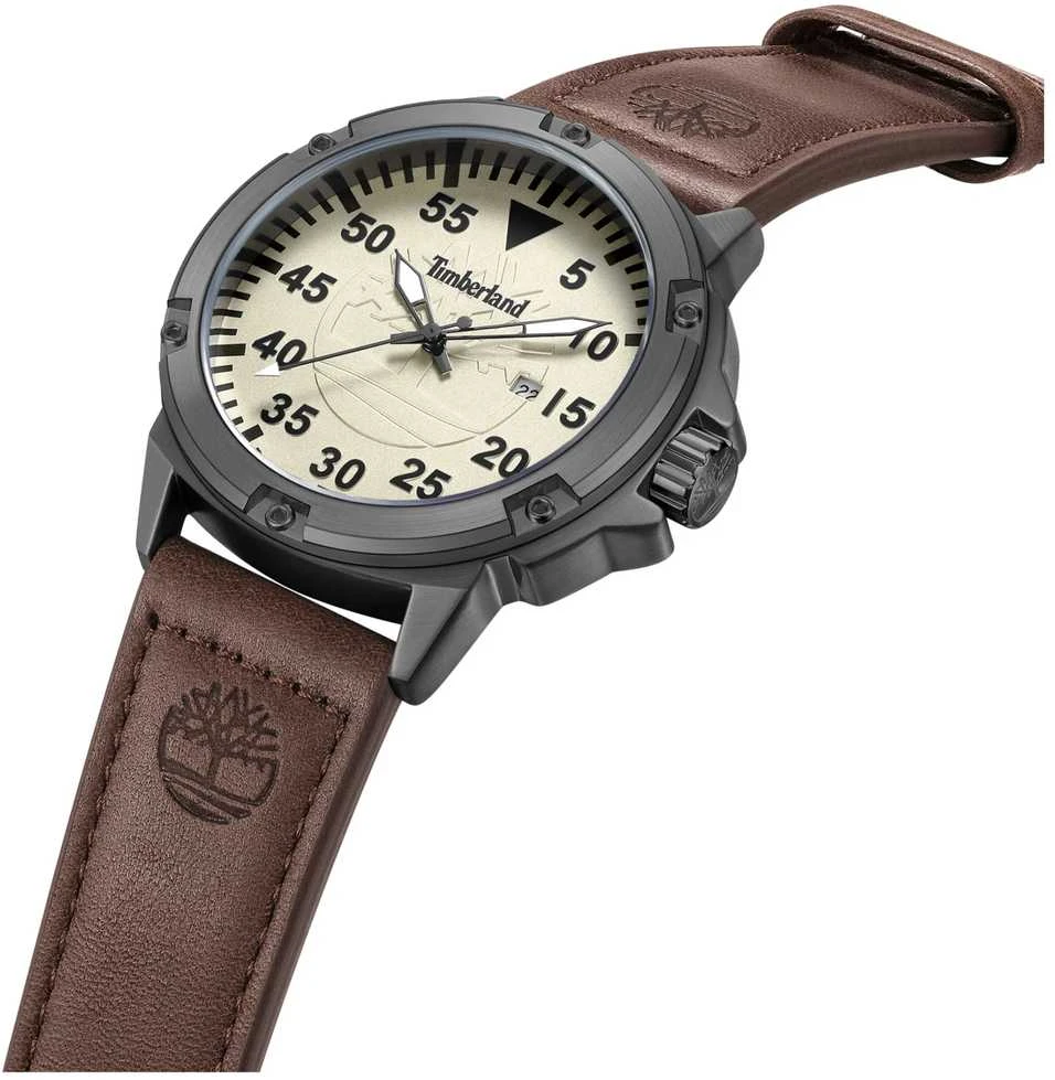 Vyriškas laikrodis Timberland TDWGB9002802 + BOX