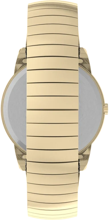 Vyriškas laikrodis TIMEX Easy Reader T2H301 + BOX