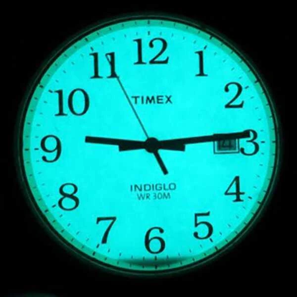 Vyriškas laikrodis TIMEX EASY READER TW2W95500 + BOX