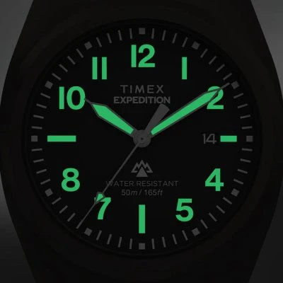 Vyriškas laikrodis TIMEX TW2Y18200