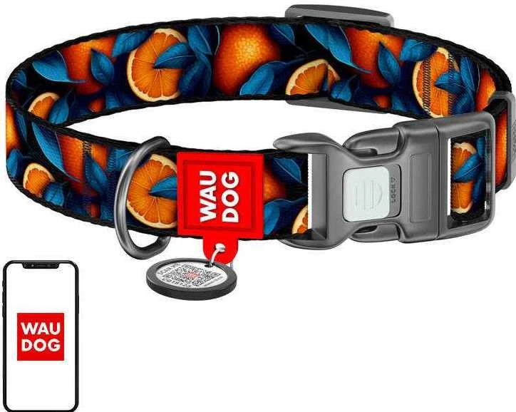 Waudog "Oranges" nailoninis šunų antkaklis su QR kodu, dydis S