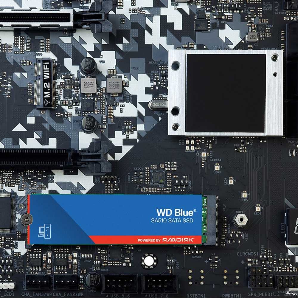 Sandisk WD Mėlyna SATA SSD M.2 250GB kietasis diskas