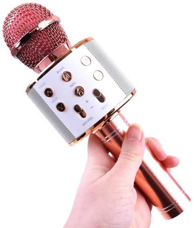 Jokomisiada Wireless karaoke microphone speaker IN0136