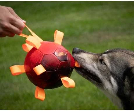 Dog Comets Hypernova didelis kamuolys šunims, žalias, 15 cm