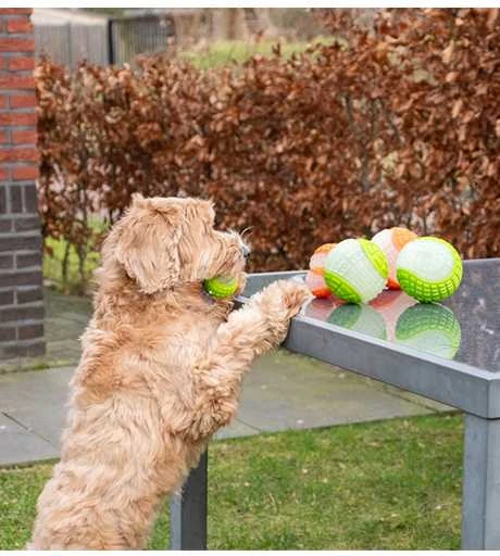 Dog Comets tamsoje šviečiantis kamuoliukas šunims, 7.5 cm