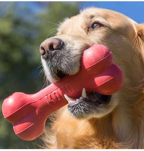 KONG Goodie Bone žaislas šunims, L