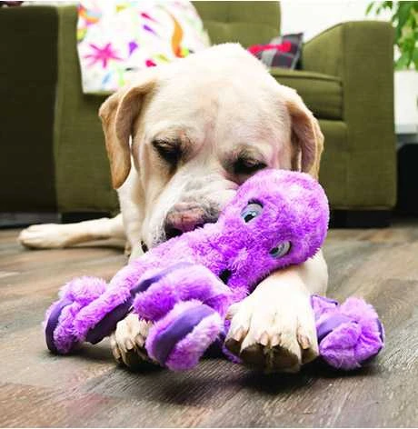 KONG SoftSeas Octopus pliušinis žaislas šunims, L