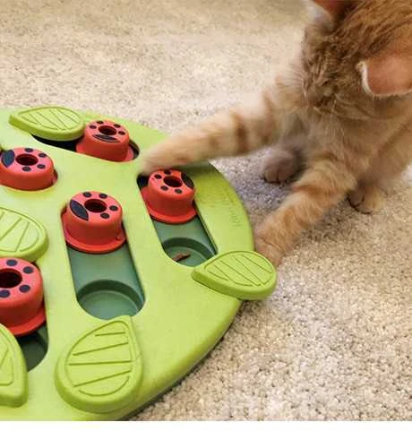 Nina Ottosen Nina Ottosson Cat Buggin' Out Puzzle interaktyvus žaislas katėms