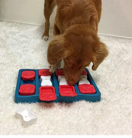 Nina Ottosen Nina Ottosson Dog Brick interaktyvus žaislas šunims