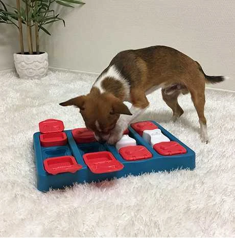 Nina Ottosen Nina Ottosson Dog Brick interaktyvus žaislas šunims