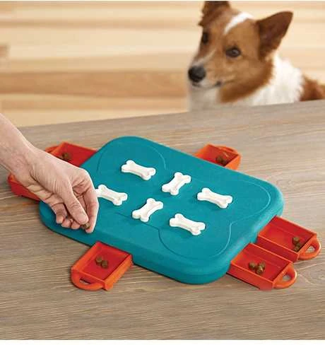 Nina Ottosen Nina Ottosson Dog Casino interaktyvus žaislas šunims