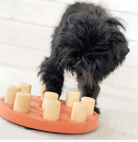 Nina Ottosen Nina Ottosson Dog Smart interaktyvus žaislas šunims