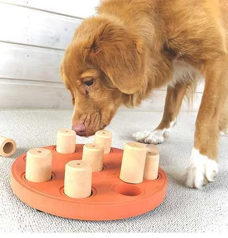 Nina Ottosen Nina Ottosson Dog Smart interaktyvus žaislas šunims