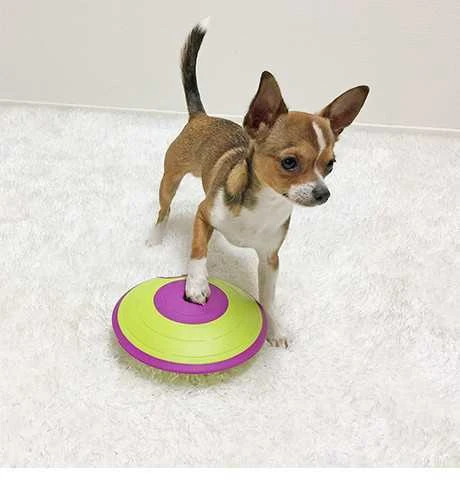 Nina Ottosen Nina Ottosson Dog Treat Maze interaktyvus žaislas šunims