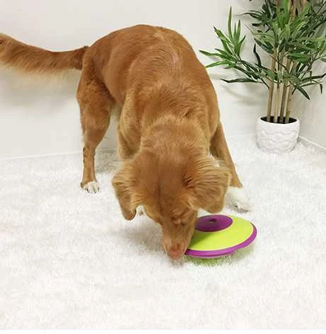 Nina Ottosen Nina Ottosson Dog Treat Maze interaktyvus žaislas šunims