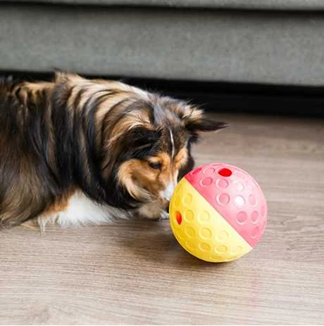 Nina Ottosson Treat Tumble interaktyvus žaislas šunims, 13 cm