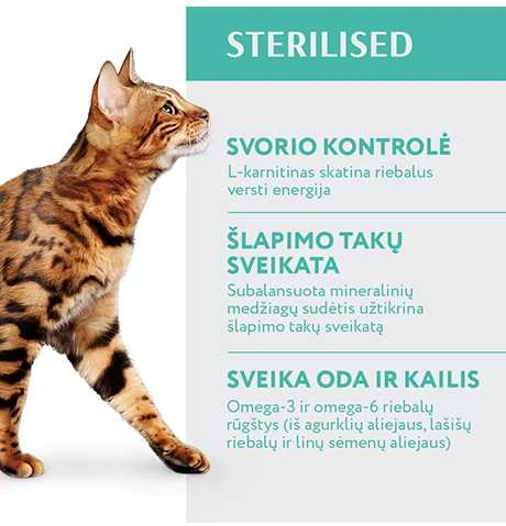 Optimeal Adult Sterilised sausas maistas katėms su kalakutiena, 700 g