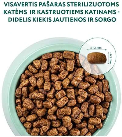 Optimeal Adult Sterilised sausas maistas katėms su jautiena, 700 g