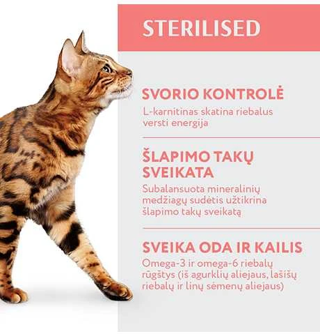 Optimeal Adult Sterilised sausas maistas katėms su jautiena, 700 g