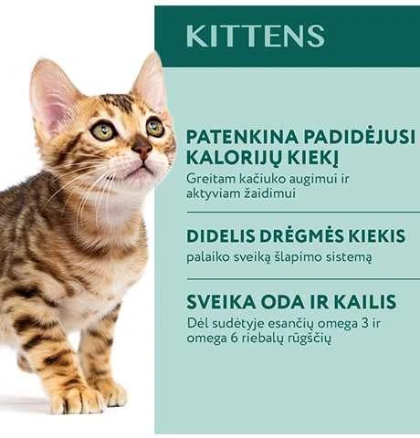 Optimeal Kitten konservai kačiukams su vištiena, 85 g