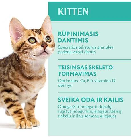 Optimeal Kitten sausas maistas kačiukams su vištiena, 700 g