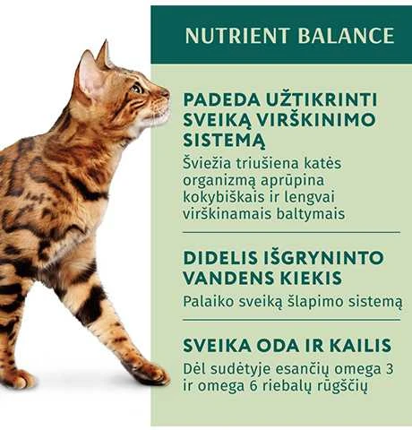 Optimeal konservai katėms su triušiena morkų drebučiuose, 85 g
