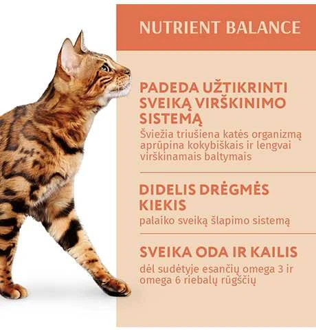 Optimeal konservai katėms su triušiena padaže, 85 g