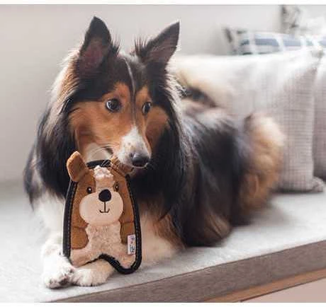 Outward Hound Invincibles Puppy žaislas šunims, 16 cm