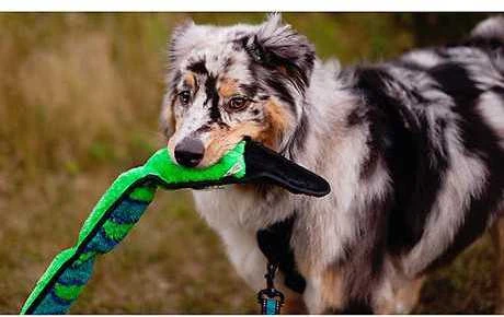 Outward Hound Invincibles Snake žaislas šunims, 54 cm