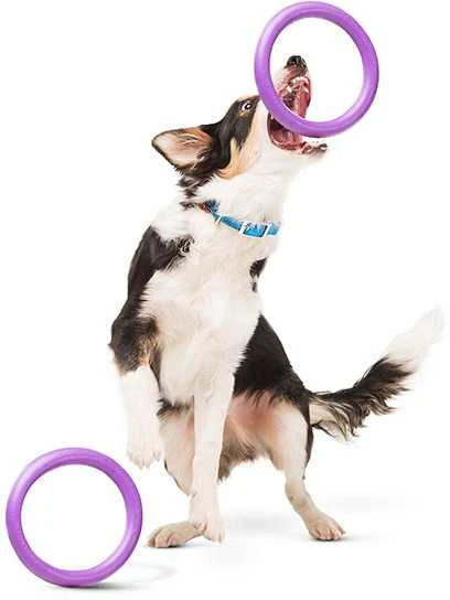 Šuns įrankis Puller Midi Waudog 19.5 cm
