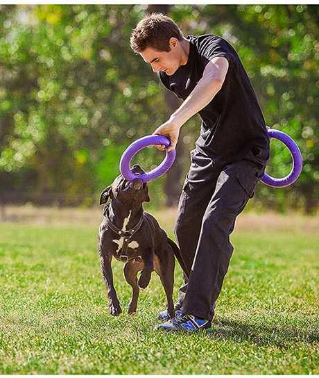 Puller Šuns įrankis traukiklis Standartinis Waudog 28 cm
