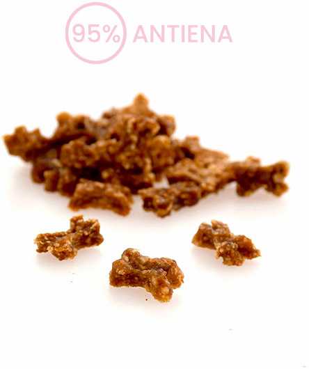 Sanadog Mini Bones antienos skanėstai šunims, 100 g