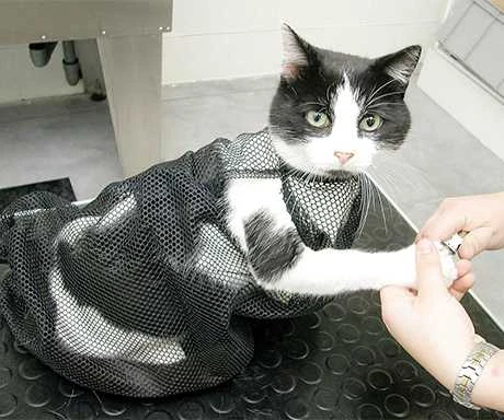Show Tech Cat Bag maišelis katėms maudyti, 1 vnt