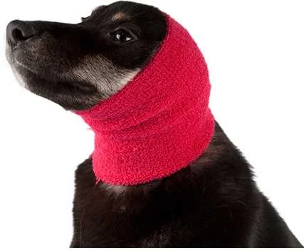 Show Tech Ear Buddy raiščių ausims prispausti rinkinys, 4 vnt