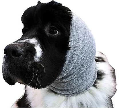 Show Tech Ear Buddy raiščių ausims prispausti rinkinys, 4 vnt