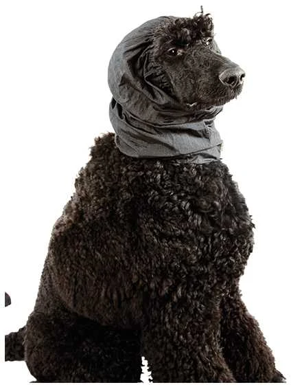 Show Tech Snood Luxe raištis ausims apsaugoti, juodas, L
