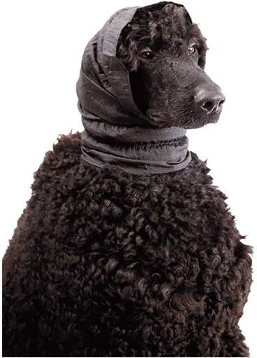Show Tech Snood raištis ausims apsaugoti, juodas, L