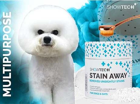 Show Tech+ Stain Away pudra ašarų dėmėms naikinti, 60 g