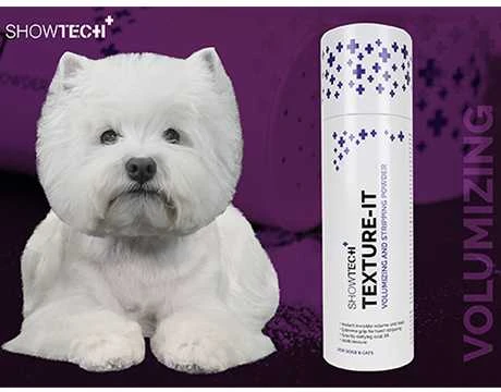 Show Tech+ Texture-IT tekstūros suteikianti pudra, bespalvė, 20 g
