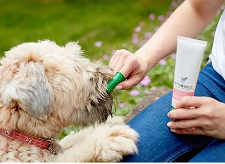Vet's Best Puppy Dental Care Kit dantų priežiūros rinkinys