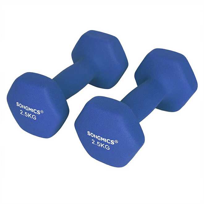 Songmics 2 hantelių rinkinys