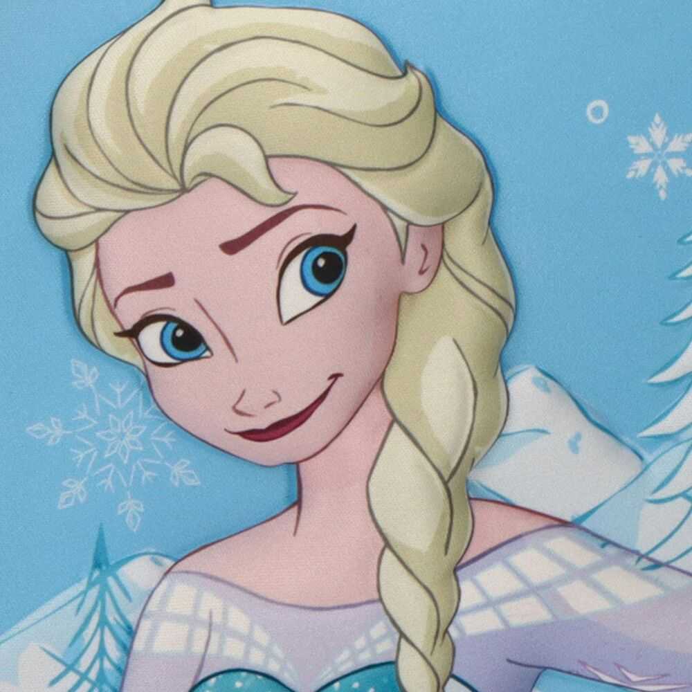 CERDÁ Disney Frozen Elsa 3D lunch bag