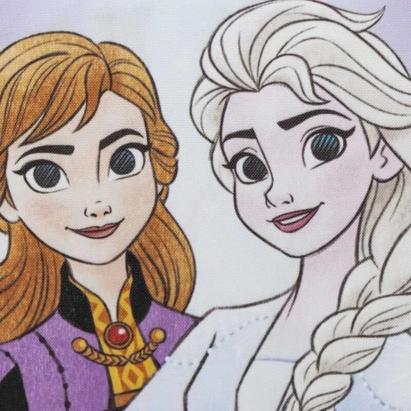 CERDÁ Disney Frozen lunch bag