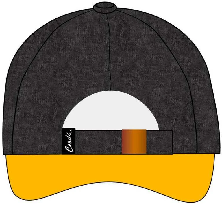 Kepurė CERDÁ Harry Potter Hufflepuff cap