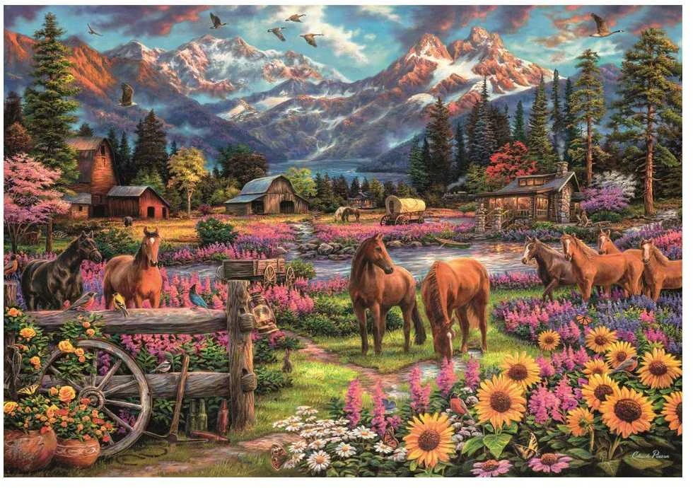 Dėlionė Clementoni Puzzle 3000EL CLM FREE TO ROAM PUD