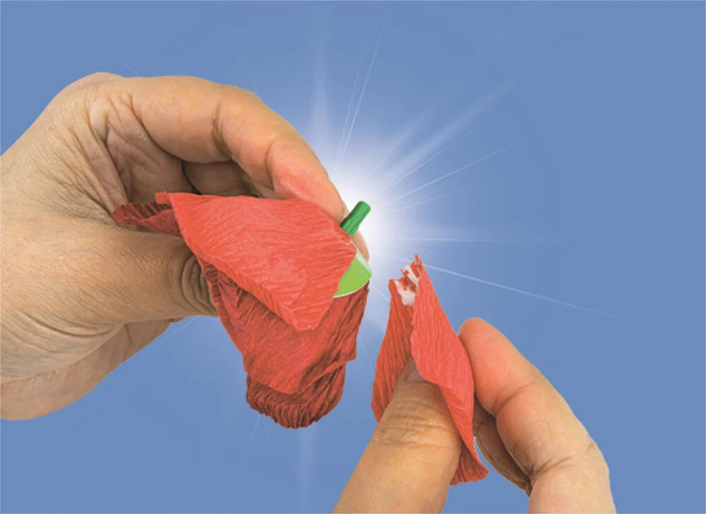 Clementoni Toys CLE IDEA mini gėlių fabrikėlis Aguona 18345